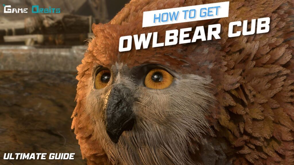 owlbear cub bg3